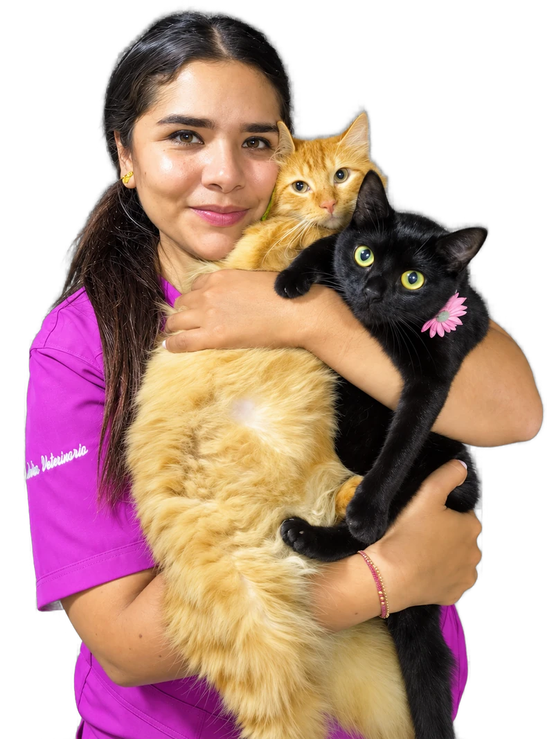 Veterinaria con dos gatos en brazos